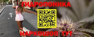 тгк Пушкино