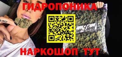 тгк Пушкино