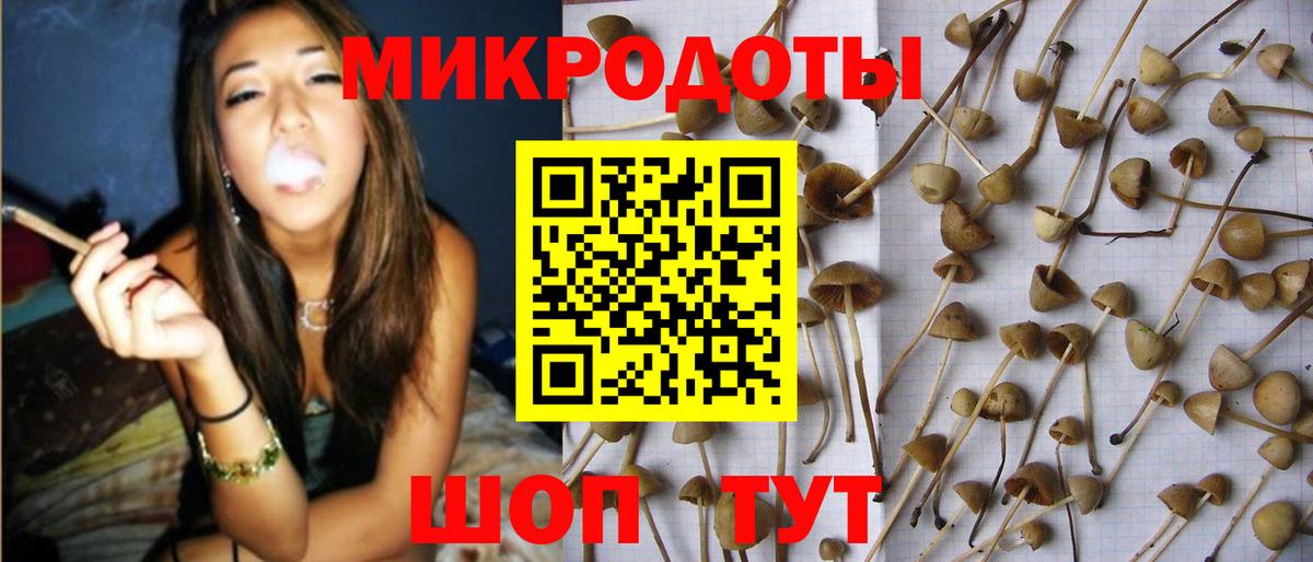 Советская Гавань  как найти наркотики  Псилоцибиновые грибы Psilocybine cubensis  Вход с VPN  Псилоцибиновые грибы мицелий 